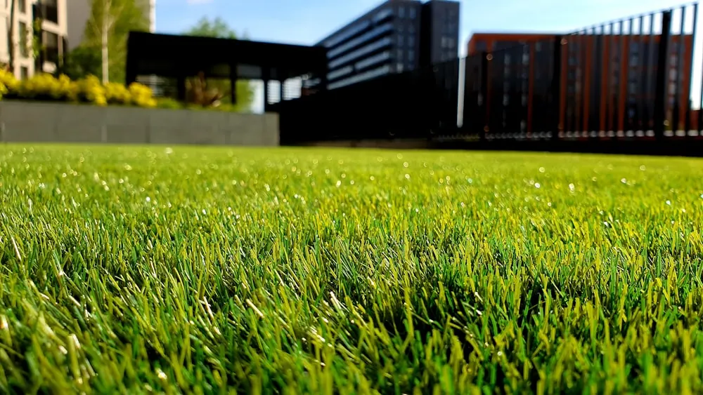 Lawn mower on cut grass — landscaping