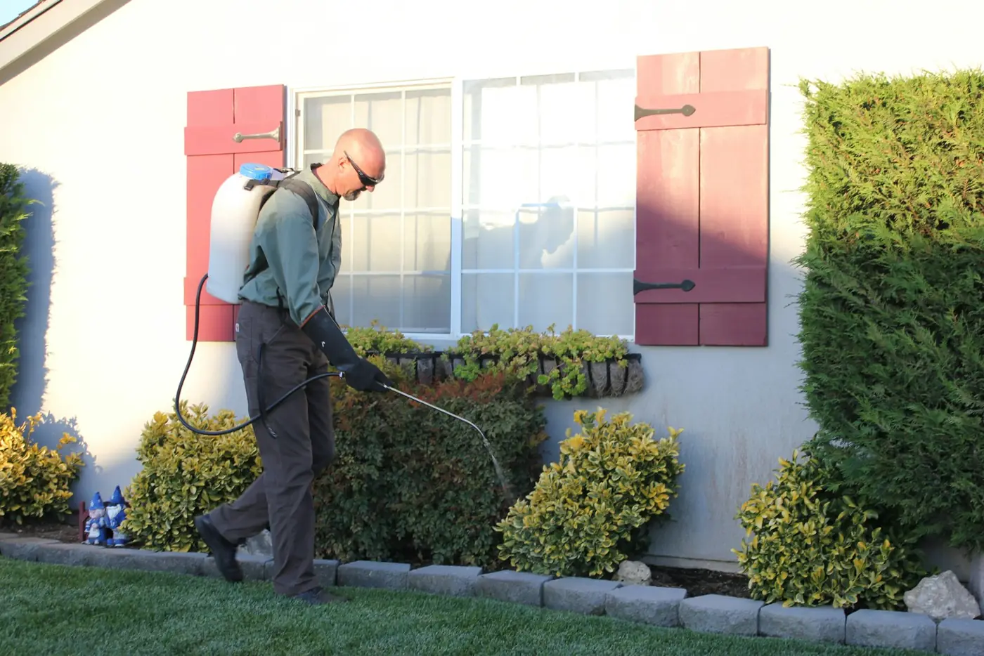 A pest-control technician spraying treatment along a home's exterior