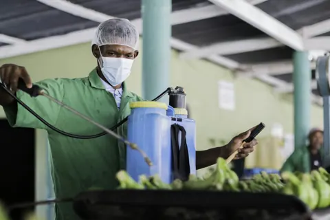 Technician in PPE using a sprayer
