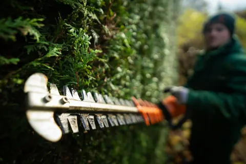 Landscaper trimming a hedge